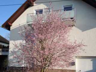 Ferienwohnung Heidenrod Springen Ferienwohnung Slomka - Springen immagine 1